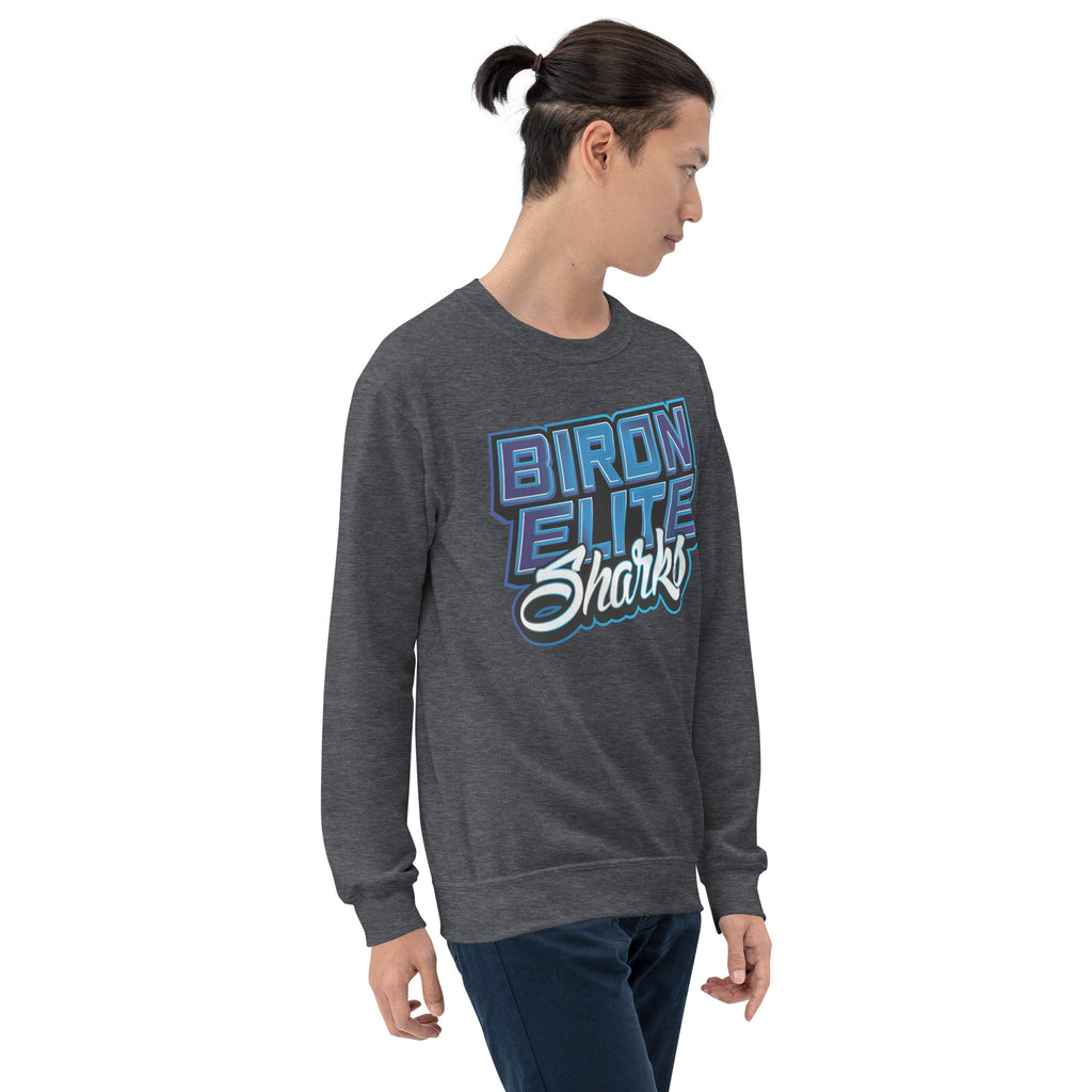 BIRON ELITE CHEER SWEATSHIRT